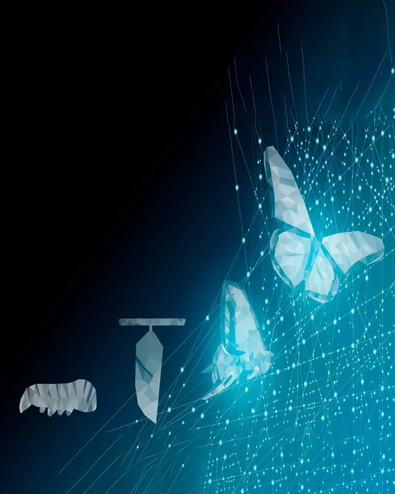 Processos de ETL e ELT